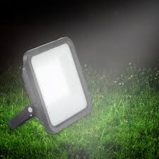 Flood Light